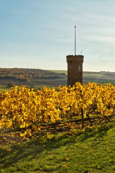 Almanya Alzey Sarı Yapraklı Bir Üzüm Bağındaki Heiligenblut Kulesi Nde — Stok fotoğraf