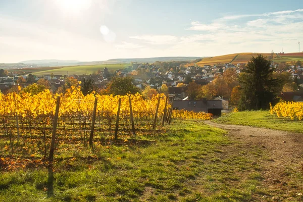Sıcak Bir Sonbahar Gününde Alzey Almanya Bir Üzüm Bağının Köyün — Stok fotoğraf