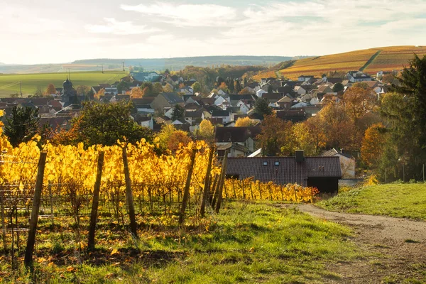 Sentiero Accanto Vigneto Con Foglie Gialle Sopra Piccolo Villaggio Alzey — Foto Stock