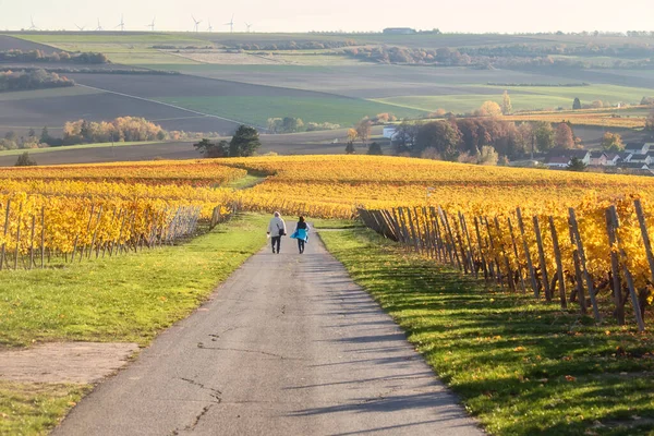 Dos Personas Caminando Por Sendero Viñedo Con Hojas Amarillas Día — Foto de Stock