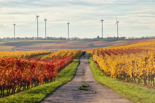 Turbine Eoliche Alte Dietro Vigneti Con Persone Che Camminano Sentieri — Foto Stock