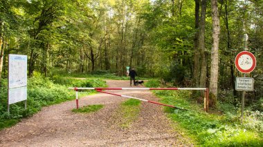 Kneipp Wanderweg 'de yürüyen bir adam ve köpeği Almanya' nın Rineland Pfalz şehrinde bir sonbahar öğleden sonra.