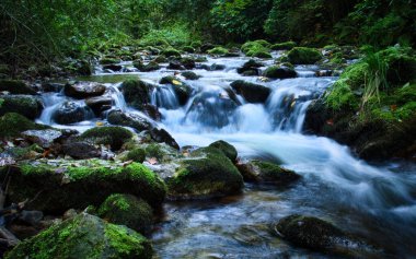 Bir sonbahar günü, Almanya 'nın Kara Ormanı' ndaki bir yolda, bir derenin üzerinden akan su..