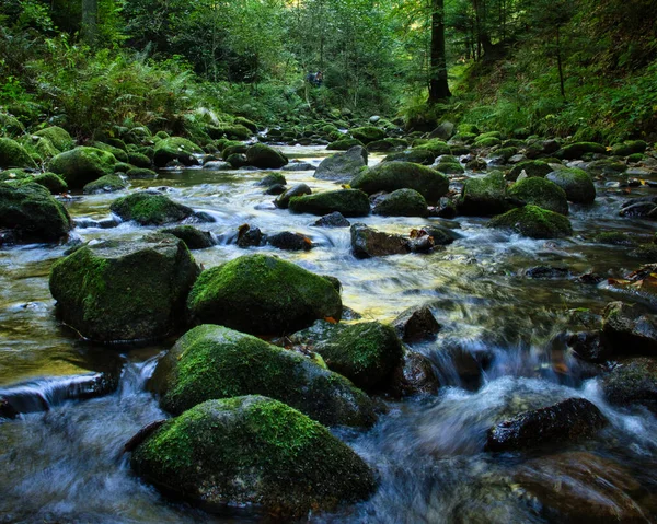 秋の日に黒い森の中のドイツ バーデン近くの遊歩道の横の小川に覆われた岩 — ストック写真