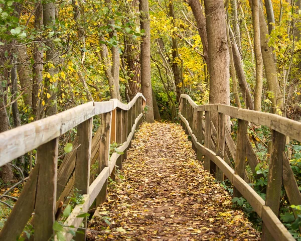 Bridge Covered Dead Leaves Walking Path Laacher See Andernach Germany — Fotografia de Stock