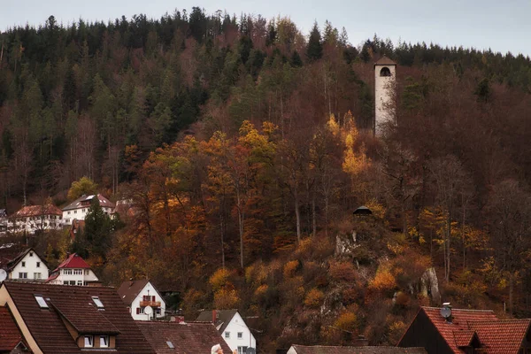 Campanile Disegno Legge Con Alberi Colorati Giorno Autunno Nella Foresta — Foto Stock