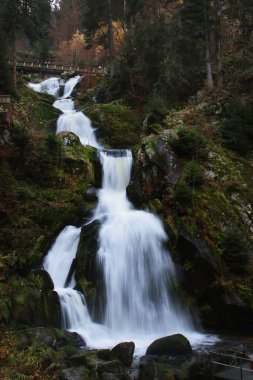 Triberg Şelalesi, Triberg, Almanya 'da yeşil bitkilerle dolu bir güz havzasına dökülüyor..