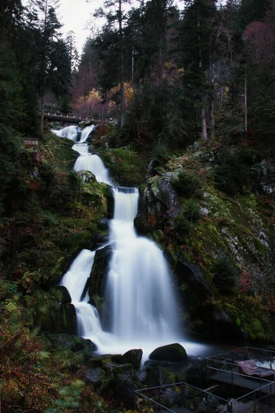 桥顶部的特里波瀑布和观景台底部的盆地 在德国的黑森林里 秋天的一天 绿色的植物环绕着水 — 图库照片