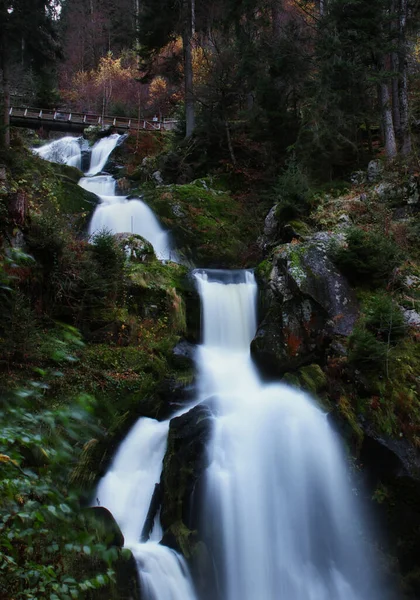 德国特里波格瀑布周围山丘上的绿色植物秋天的一天 在黑森林里 它们在水面上架起了一座桥 — 图库照片