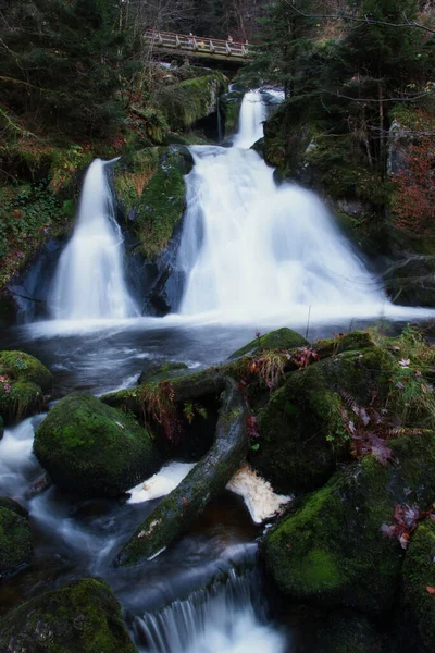 德国黑森林的特里波格瀑布下 苔藓覆盖了盆地中的岩石 — 图库照片