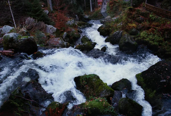 ドイツの黒い森の秋の日に底を歩くためにTriberg滝を見下ろす — ストック写真