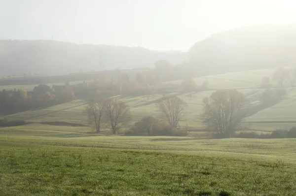 Nebbia Sulle Colline Con Alberi Loro Ombre Una Giornata Autunnale — Foto Stock