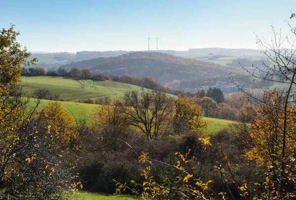 Rolling Hills Trees Grass Wind Turbines Distance Sunny Fall Day — Foto Stock
