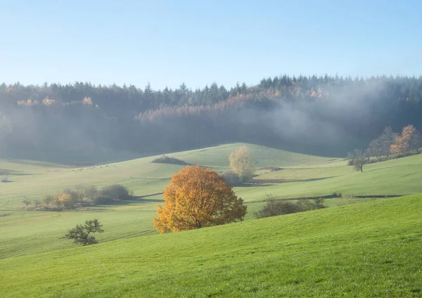 Ljus Dimma Över Mjukt Böljande Kullar Ett Landsbygdsområde Rheinland Pfalz — Stockfoto
