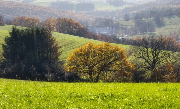 Luce Nebbia Una Valle Con Edificio Alberi Colorati Erba Verde — Foto Stock