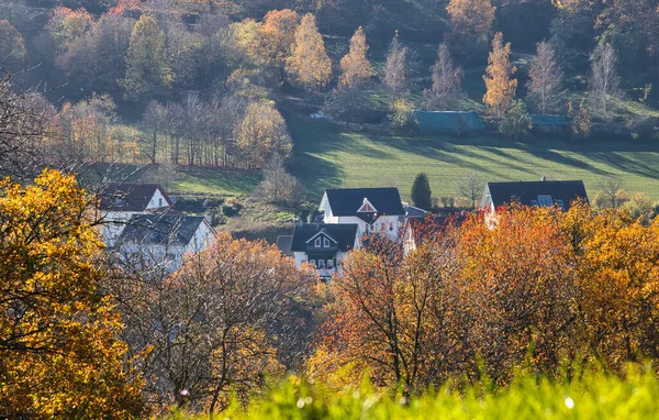 Bílé Domy Obklopené Pestrobarevnými Stromy Slunečného Podzimního Dne Rheinland Pfalz — Stock fotografie