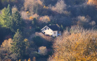 Almanya 'da güneşli bir sonbahar gününde tepedeki beyaz ev renkli ağaçlarla çevrilidir..