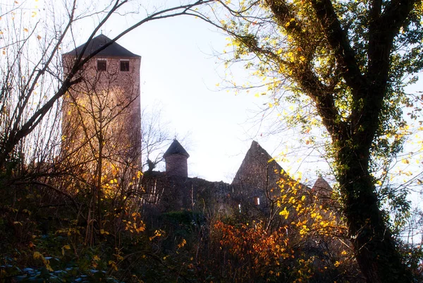 德国Thallichtenberg 2020年11月18日 德国莱茵兰普法尔茨 下午阳光下山坡上的Lichtenberg城堡 秋天长满五彩缤纷的树木 — 图库照片