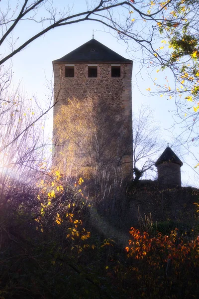 Sun Shining Tower Burg Castle Lichtenberg Hill Colorful Plants Sunny — 스톡 사진