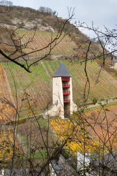 Almanya Bacharach Yukarısındaki Bir Üzüm Bağında Sonbahar Günü Postenturm — Stok fotoğraf