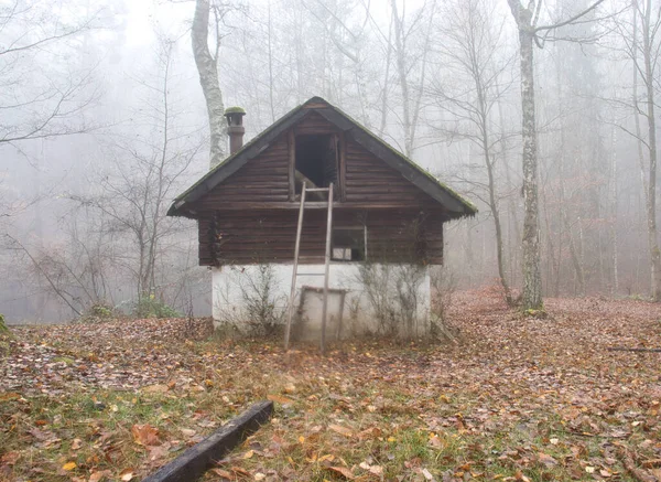 Žebřík Opřený Chatu Lese Zamlženém Dni Německém Falcku — Stock fotografie