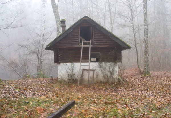 Seite Einer Verlassenen Hütte Wald Mit Einer Kaputten Leiter Die — Stockfoto