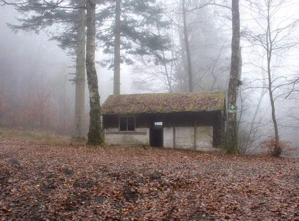 Verlassene Hütte Wald Mit Laub Boden Einem Nebligen Herbsttag Pfälzer — Stockfoto