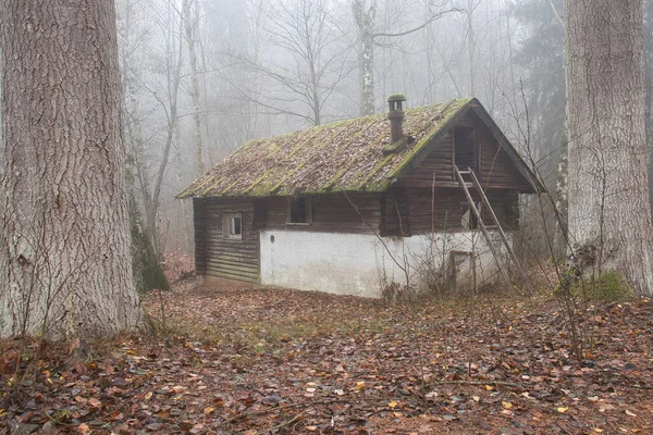 Rückseite Einer Verlassenen Hütte Den Bäumen Pfälzer Wald Einem Nebligen — Stockfoto