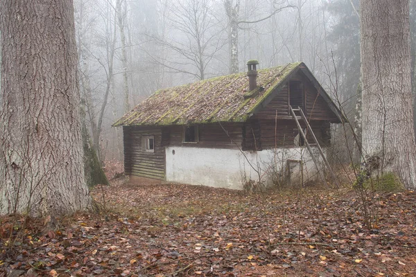 Achterzijde Van Verlaten Hut Bomen Het Palts Bos Van Duitsland — Stockfoto