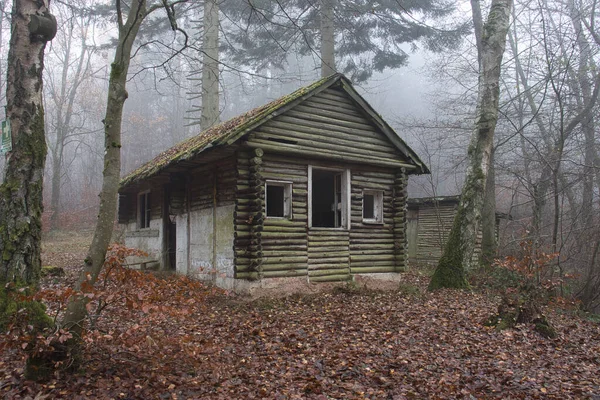 Side and front of abandoned cabin in the woods with an old wooden shed in the background on a fall day in the Palatinate forest of Germany.