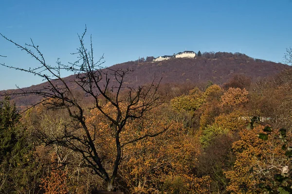 Konigswinter Duitsland November 2020 Witte Gebouw Een Heuvel Met Kleurrijke — Stockfoto