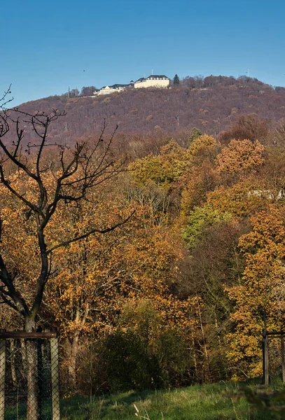 Konigswinter Alemanha Novembro 2020 Árvores Coloridas Uma Colina Com Edifício — Fotografia de Stock