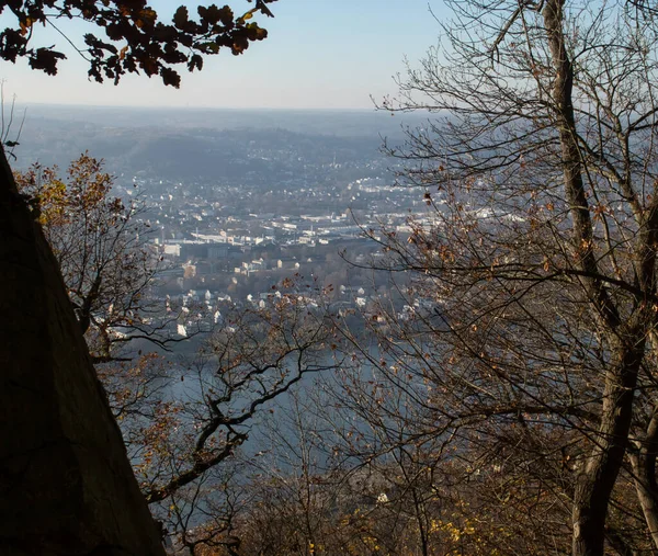 Konigswinter Germany November 2020 Trees Hill Overlooking Rhine River Town — Stock Photo, Image