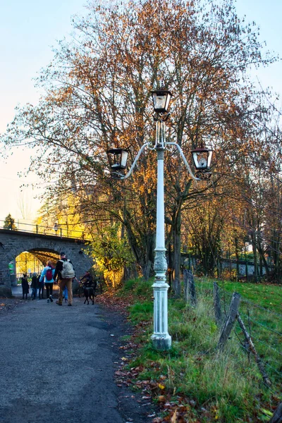 Konigswinter Alemanha Novembro 2020 Poste Leve Frente Uma Árvore Com — Fotografia de Stock
