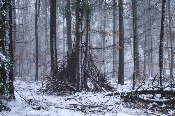 Takken Opgestapeld Rond Bomen Een Koude Besneeuwde Mistige Herfstdag Het — Stockfoto