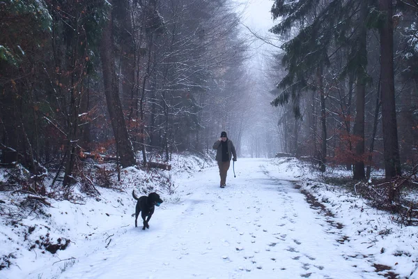 Man Talking Phone Walks Snowy Path His Dog Running Front — ストック写真