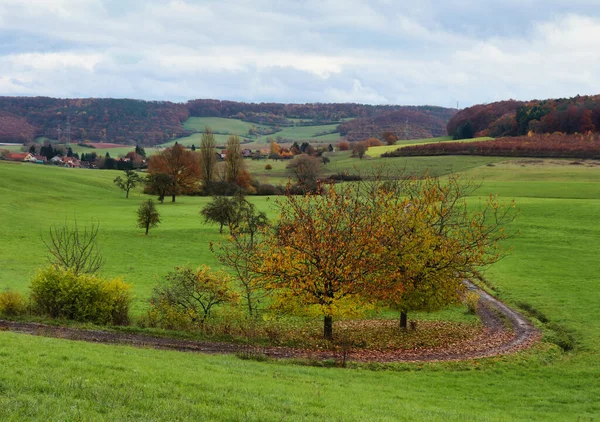 Small Dirt Road Bending Row Trees Field Green Grass Fall — Photo