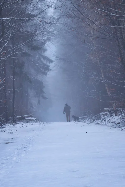 Man walking with dog on snow covered path  in the Palatinate forest of Germany on a cold fall day.