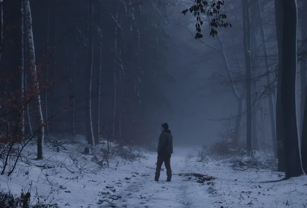 Man Standing Snowy Walking Path Looking Dark Palatinate Forest Cold — Stock Photo, Image