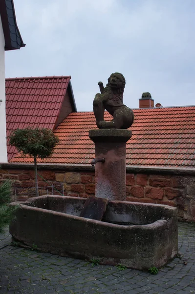 Neuleiningen Germany December 2020 Lion Statue Fountain Neuleiningen Cloudy Fall — Stockfoto