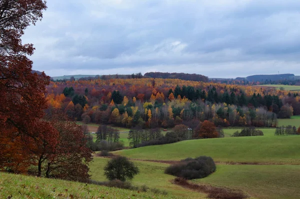 Field Green Grass Colorful Trees Gently Rolling Hills Cloudy Fall — Photo