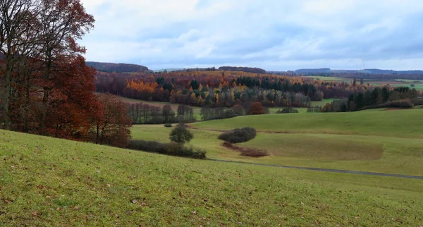 Trees Green Grass Rolling Hills Front Colorful Trees Cloudy Fall — Foto Stock