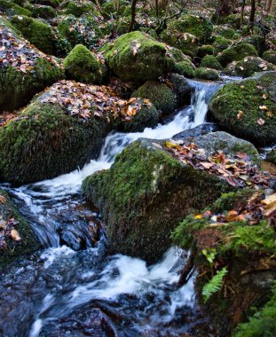 Water flowing through mossy rocks next to a walking path on a fall day at Gaisholl waterfalls in the Black Forest of Germany.