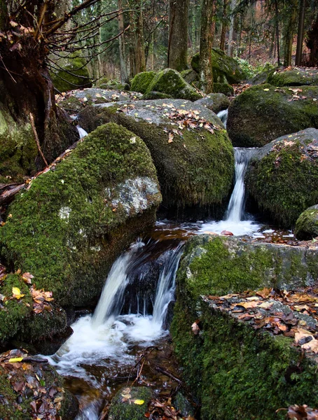 Small Waterfall Gaisholl Waterfalls Surrounded Mossy Rocks Trees Background Fall — Foto Stock