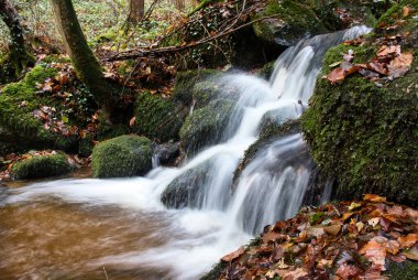 Waterfall at Gaisholl waterfalls in the Black forest of Germany on a fall day.