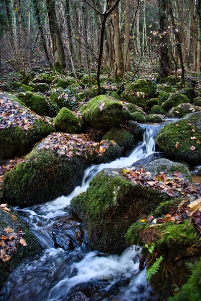 Water Stream Flowing Rocks Covered Moss Trees Background Black Forest — Fotografia de Stock
