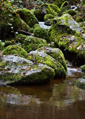 Water flowing down rocks with green moss into a small pool of water at Gaisholl waterfall in the Black forest of Germany.