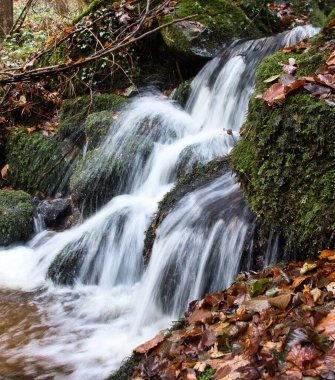 Water cascading over rocks with green mossat Gaisholl waterfall in the Black forest of Germany.