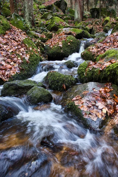 Stream Next Walking Path Gaisholl Waterfall Black Forest Germany Fall — Fotografia de Stock