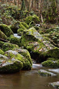 Water running down rocks covered with moss into a small pool at Gaisholl waterfalls in the Black forest of Germany.